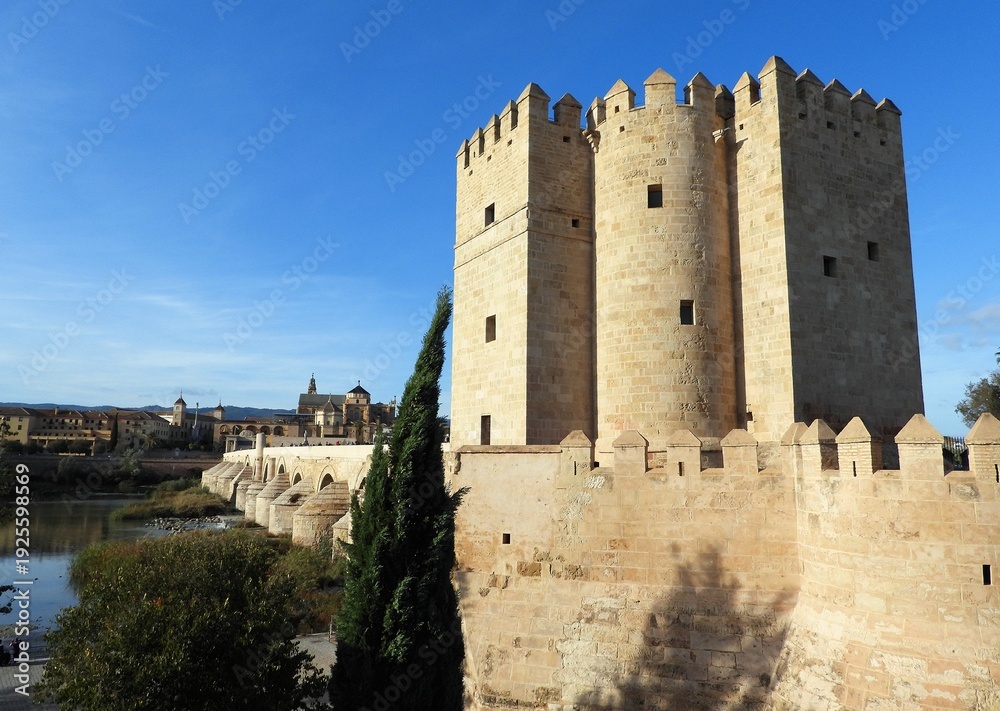 Fototapeta premium Calahorra Tower, Roman Bridge, Cordoba, Andalusia, Spain