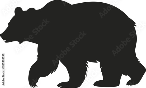 Silhouette of a walking grizzly bear on a white background animal wildlife