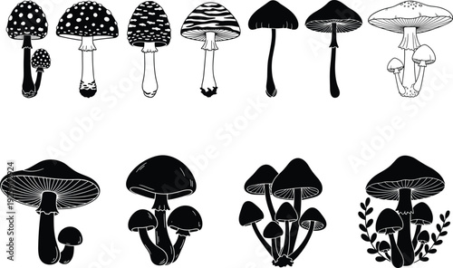Mushroom silhouette collection, botanical vector set, fungi illustration design, nature art concept, diverse mushroom caps and gills, black white style