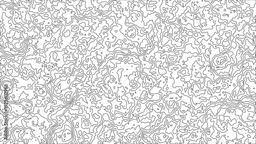 Black and white abstract contour lines form an intricate design on a minimalist background