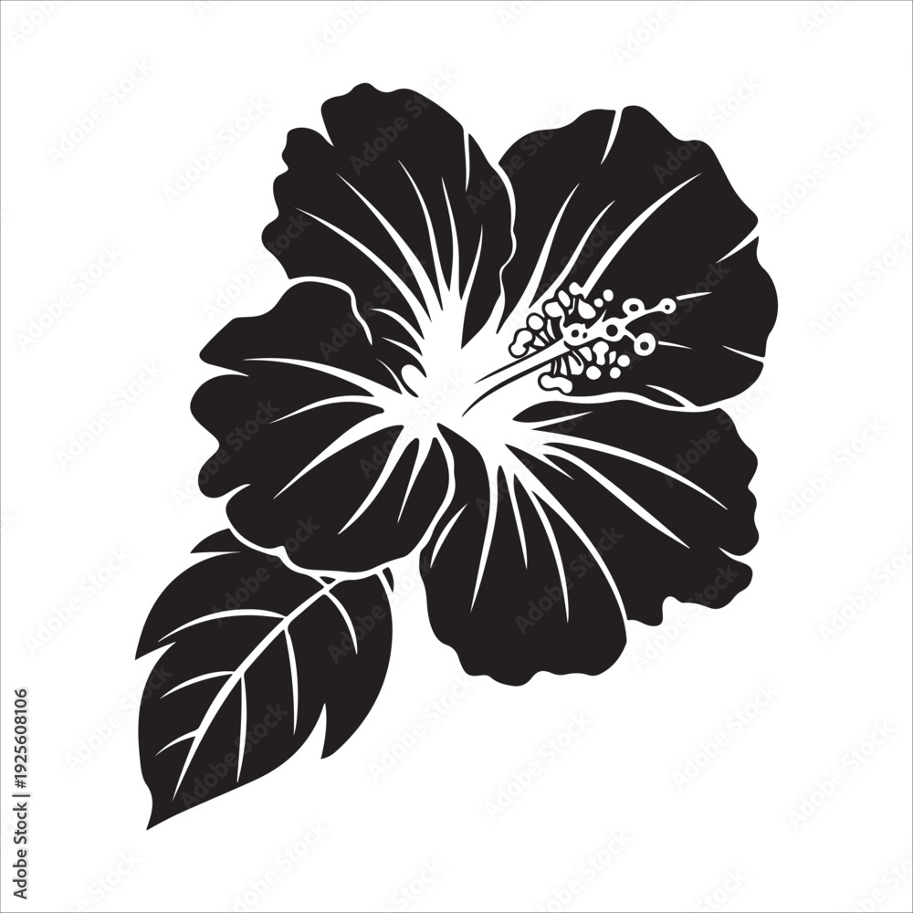 Fototapeta premium Hibiscus flower black color illustration.
