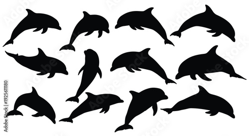 A collection of multiple graceful dolphin silhouettes swimming in various dynamic poses vector illustration design.