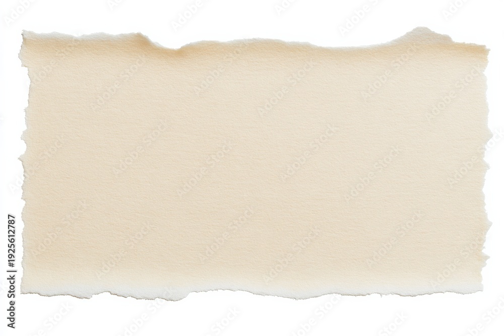 Obraz premium Torn edges of blank vintage parchment paper