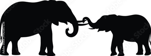 Two Black Silhouette Elephants Touching Trunks on White Background isolated