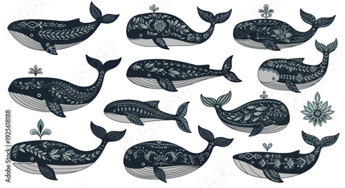 Collection of Whale Illustrations with Decorations.