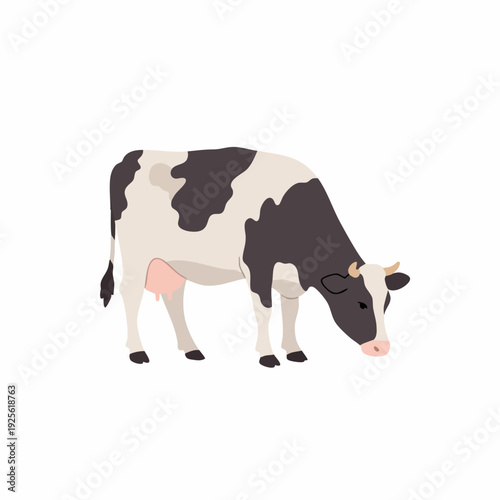 Flat Illustration Grazing Dairy Cow Farm Animal Livestock Concept Design