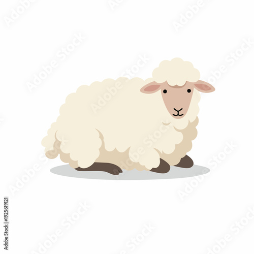 Cute Flat Design Sheep Lamb Animal Illustration Farm Livestock Drawing