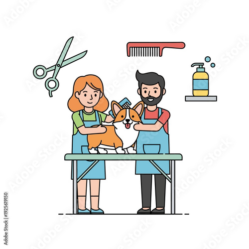 Groomers Brushing Corgi Dog on Table with Scissors and Comb