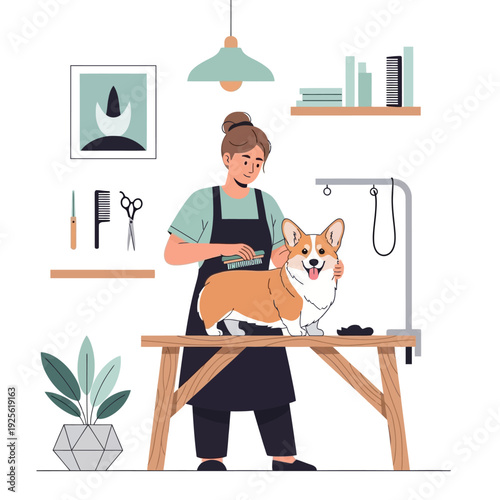Happy Corgi Dog Grooming Session with Professional Groomer in Salon