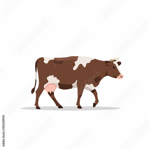 Flat Style Detailed Spotted Brown and White Cow Farm Animal Illustration
