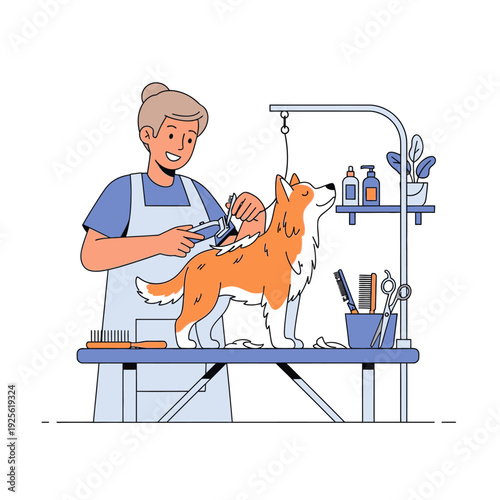 Professional dog groomer trimming a cute corgi with electric clippers on a grooming table
