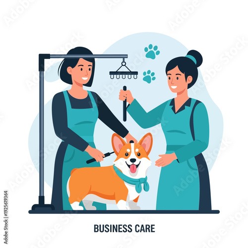 Professional Dog Grooming: Corgi Enjoying Spa Day with Stylists in Modern Salon