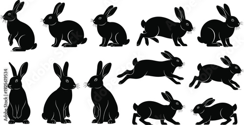 Rabbit silhouettes, sitting, standing, running, jumping, animal motion, wildlife illustration, bunny poses, nature behavior, vector graphic design