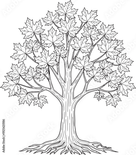 A simple black and white illustration of a tree with visible roots and branches.