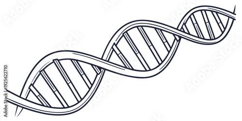 The iconic double helix structure representing deoxyribonucleic acid (dna) molecule
