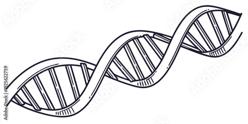 The iconic double helix structure representing the dna molecule in genetics.