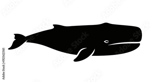 Black Silhouette of a Whale.