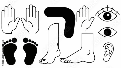 Human Body Parts Illustration Collection.