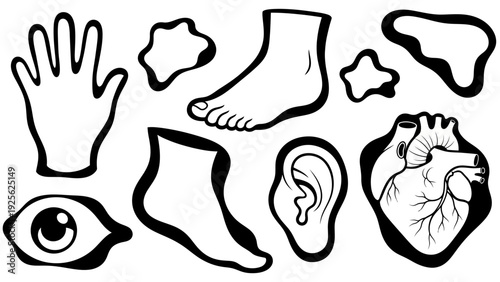 Human Body Parts Illustration Collection.