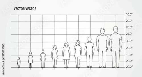 Human Height Comparison Chart Illustration.