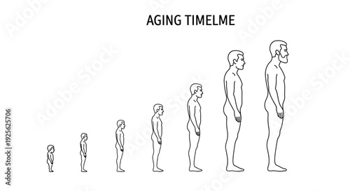 Human Life Cycle Stages Illustration Outline.