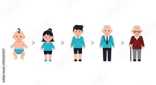 Human Life Stages from Baby to Elderly.