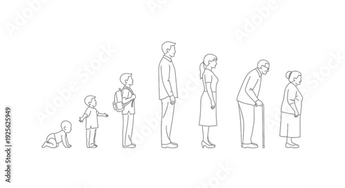 Human Life Stages from Baby to Elderly.
