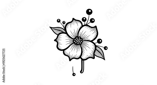 A delicate floral illustration featuring a dogwood bloom with berries perfect for designs on transparent background silhouette high quality