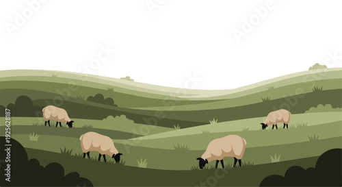 Illustration of sheep grazing on a green hillside with rolling hills and trees in the background.