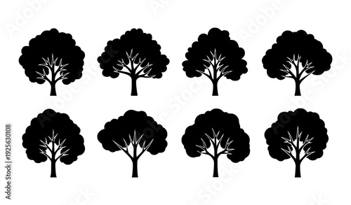 Minimal Ash Tree Silhouette Icon Set Black Botanical Vector Collection