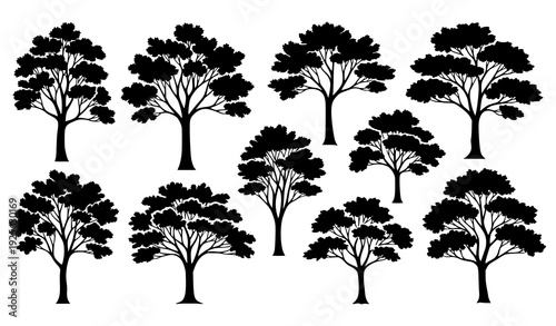 Artistic Ash Tree Silhouette Collection Black Forest Nature Vector Illustration