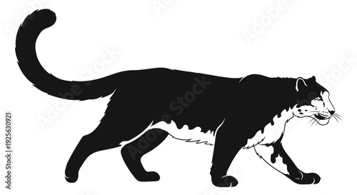 Black Cat Silhouette Walking to Right Side.