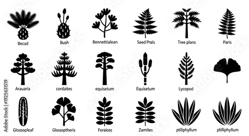 Collection of Various Black Silhouette Plant Species.