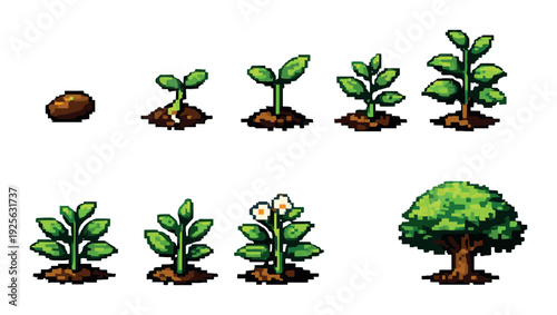 Plant growth stages from seed to young tree on neutral background