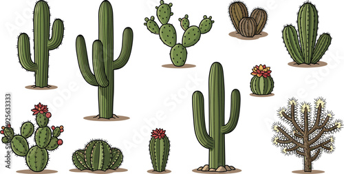 Desert Cactus Collection Vector Illustration Set with Saguaro Prickly Pear and Blooming Succulent Plants