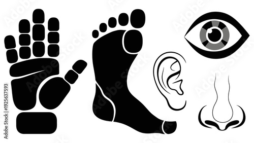 Human Senses Icons Hand Foot Eye Ear Nose.