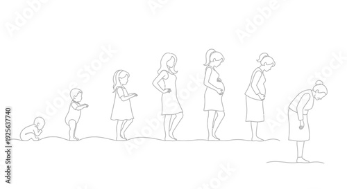 Pregnant Woman Stages Pregnancy Belly Growth.