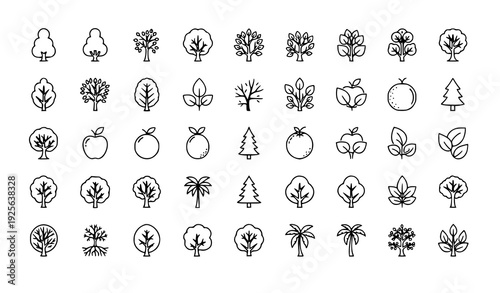 Minimal tree line icon set with roots branches leaves fruit evergreen and tropical outline vector symbols
