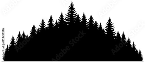Dramatic silhouette of evergreen trees against natural landscape
