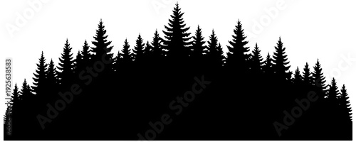 Dense forest landscape with tall evergreen trees in silhouette