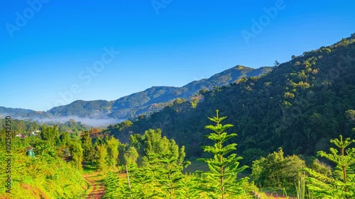 A smooth cinematic time lapse of early morning in a misty forest mountain valley, highlighting drifting fog, soft light, and lush evergreen trees in a tranquil, scenic highland setting.