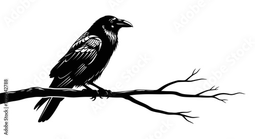 Majestic black raven perched on a bare tree branch, detailed hand-drawn vector illustration. Isolated on white.