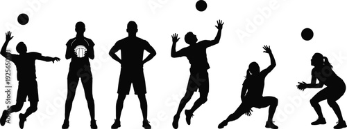 Black silhouette collection of male and female volleyball players in various action poses including spiking, serving, and setting, white background.