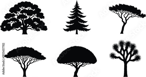 Black silhouette collection of various tree species including oak, pine, acacia, and desert trees isolated on a clean white background.