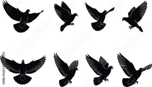 Black silhouette collection of flying pigeons and doves in various flight poses and wing positions isolated on a white background, vector.