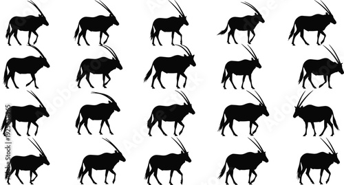 Black silhouette set of gemsbok oryx gazella antelopes in various walking poses and leg positions isolated on white background for wildlife nature design and vector graphics.