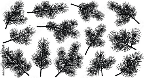Black savanna plant silhouettes including acacia trees, wild grass, and desert shrubs isolated on white background for African landscape design.