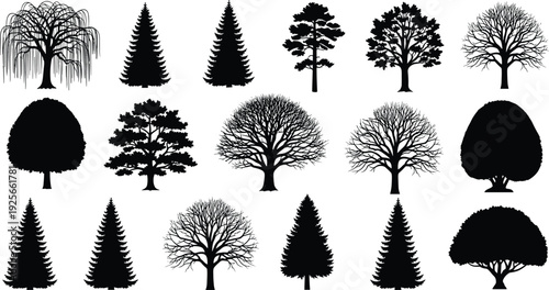 Black tree silhouettes set, weeping willow pine fir and oak collection, forest landscape nature vector icons, winter bare trees elements