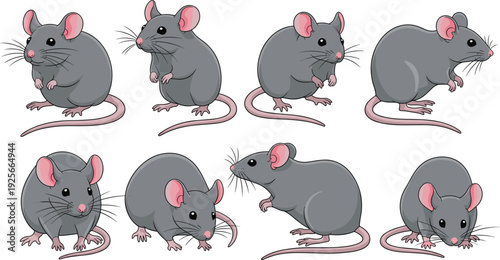 Vector set of cute gray mouse characters in various active poses including sitting, standing, and looking around isolated on white background.