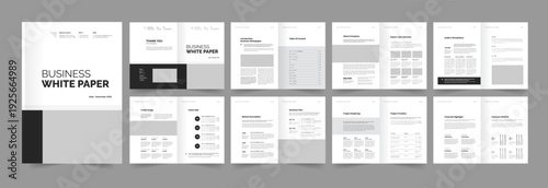 Professional Business White Paper Layout Template